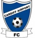 Cardiff Airport