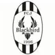 FC Jyvaskyla Blackbird