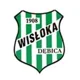 Wisloka Debica