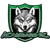 Acambaro FC