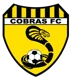 Bentleigh Utd Cobras