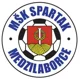 Spartak Medzilaborce