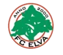 FC Elva (w)