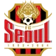 Football Club Seoul