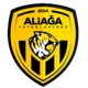 Aliaga Futbol