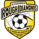 Alexandria Rough Diamonds