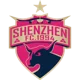 Shenzhen FC(1994-2024)