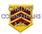 Cardiff Corinthians AFC