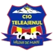 CSO Teleajenul Valeni de Munte