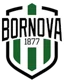 Viven Bornova