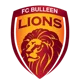 FC Bulleen Lions U20