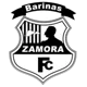 Real Zamora