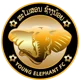 Young Elephants FC