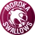 Moroka Swallows FC