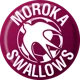 Moroka Swallows FC