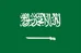 Saudi Arabia U20