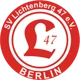 Lichtenberg 47