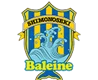 FC Baleine Shimonoseki