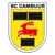 SC Cambuur Leeuwarden