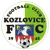 Kozlovice