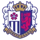 Cerezo Osaka Sakai