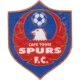 Cape Town Spurs