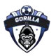 Gorilla FC