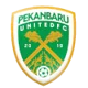 Pekanbaru United