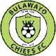 Bulawayo Chiefs