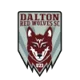 Dalton Red Wolves SC