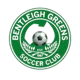 Bentleigh Greens (W)