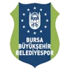 Bursa